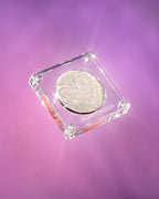 Riding Solo Single Shadow Vol. 1 & 2