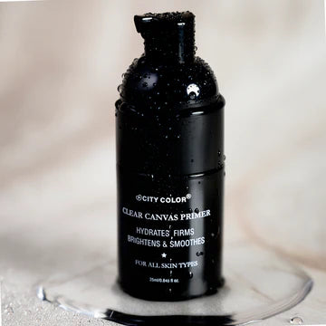 Clear Canvas Primer
